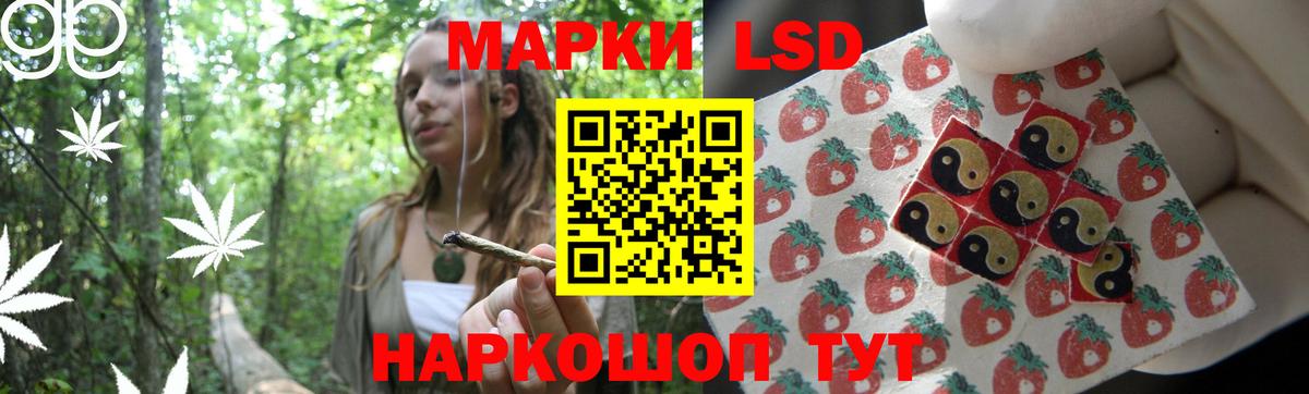 Курчатов  Лсд 25 экстази кислота  ЛСД экстази  LSD-25 экстази кислота  Вход с VPN 