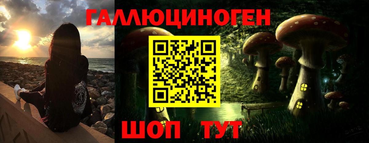 Курчатов  Галлюциногенные грибы мухоморы  Вход с VPN 